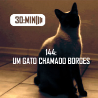 144 – Um Gato chamado Borges - Vilto Reis