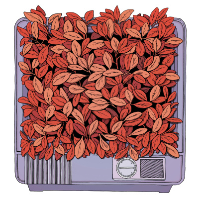 Welcome To Night Vale