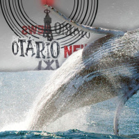 Otário News (24 de agosto)