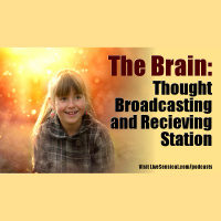 The Brain – Thought Broadcasting and Receiving Station – 02
