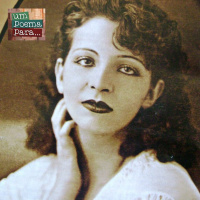 184 - Natureza Morta, Pagu