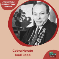 197 - Raul Boop, Cobra Norato/Clássicos da literatura brasileira