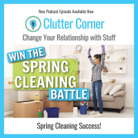 Spring Cleaning - How to Get Through It