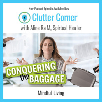 Addressing the Baggage: Daily Challenges