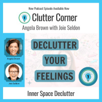 Declutter Your Feelings: Emotion Decluttering with Joie Seldon