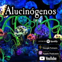 Subrumundo #162 - Alucinógeno