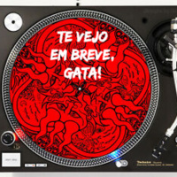 #24 Te vejo em breve, gata!