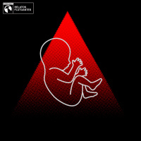 Contato com nave mãe - Fita #214