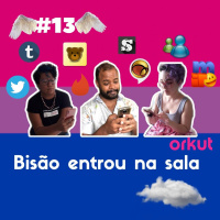 13: Bisão entrou na sala