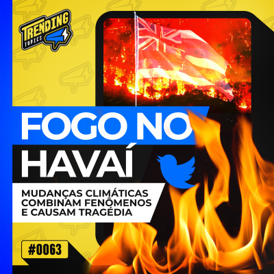 Flow News