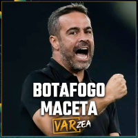 BOTAFOGO DESTRÓI PALMEIRAS E FICA MUITO PRÓXIMO DO TÍTULO - VARzea