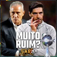 FLAMENGO SE COMPLICOU FOI MUITO RUIM BOTAFOGO x PALMEIRAS E A VOLTA DA LIBERTADORES - VARzea