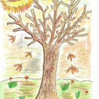 Le voci del bosco