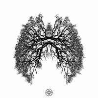 17.06.18 - INSPIRE EXPIRE - PERMANECER - ORLANDO NERI