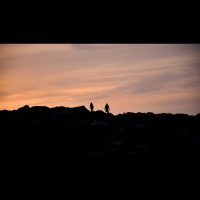 How Can I Grow in Expressing Affection?