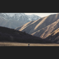 Hope for Children from Dysfunctional Families