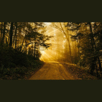 How Did Jesus ‘Learn Obedience’ and ‘Become Perfect’?