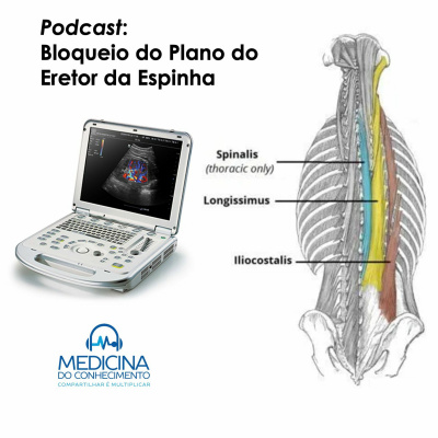 Pablo Braga Gusmans Podcast