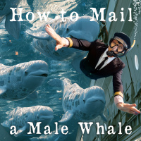 APG 719 – How to Mail a Male Whale