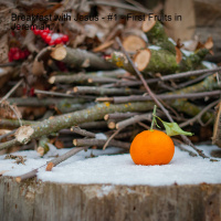 Breakfast with Jesus - #1 - First Fruits in Jeremiah