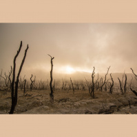 Habakkuk and Redemption: An Alternative Paradigm