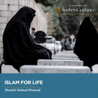 Islam For Life With Shaykh Walead Mosaad