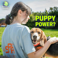 CDC Vaccine Panel, Satellite Light Pollution, Puppy Power