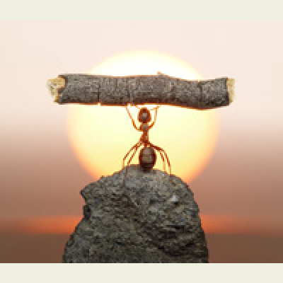 Zapp! English Listening (english Version)