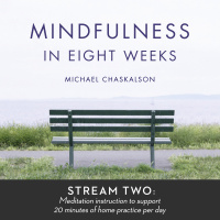 Mindfulness In 8 Weeks: 20 Minutes A Day Program