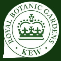 5x15 In Collaboration With Royal Botanic Gardens, Kew: Regeneration