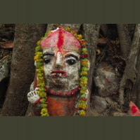 Pesquisa Etnográfica Ecológica para Design Transicional