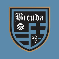 Bicuda #054 - Resumão do Futebol Brasileiro até agora
