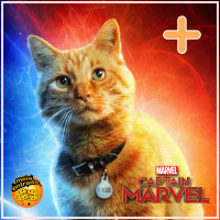 MeiaEntradaCast PLUS – Capitã Marvel (com Fernanda Carpegiani)