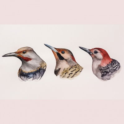 Iconicast - Arte, Desenho E Outras Coisas Nada Artísticas.