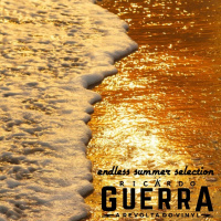 A REVOLTA do Vinyl - Endless Summer Selection