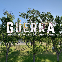 A REVOLTA do Vinyl - 20 Junho 2020