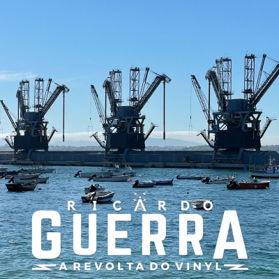 A Revolta Do Vinyl | Ricardo Guerra