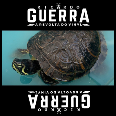 A Revolta Do Vinyl | Ricardo Guerra