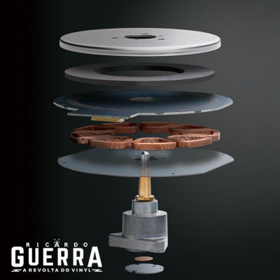 A Revolta Do Vinyl | Ricardo Guerra