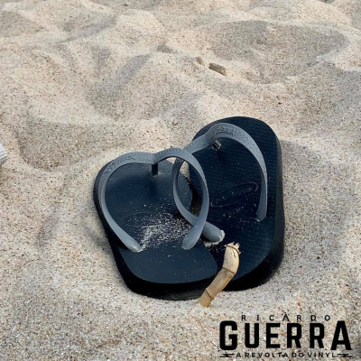 A Revolta Do Vinyl | Ricardo Guerra