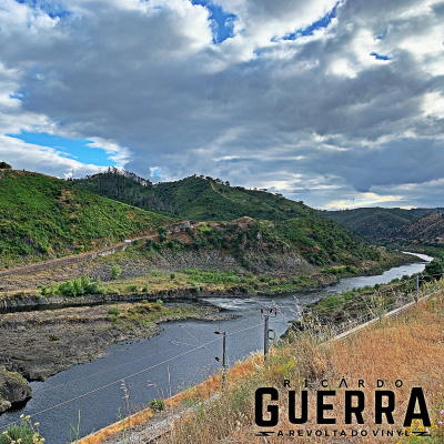 A Revolta Do Vinyl | Ricardo Guerra