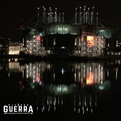 A Revolta Do Vinyl | Ricardo Guerra