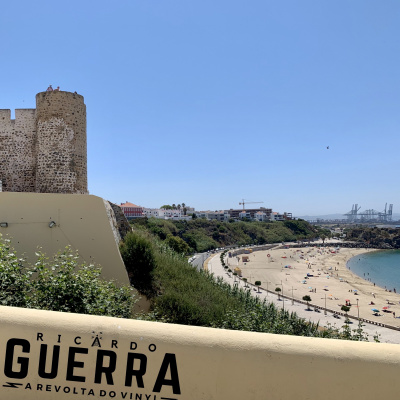 A Revolta Do Vinyl | Ricardo Guerra