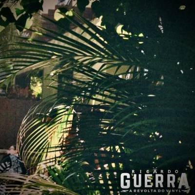 A Revolta Do Vinyl | Ricardo Guerra
