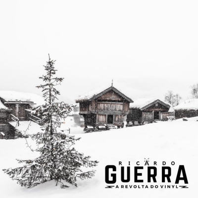 A Revolta Do Vinyl | Ricardo Guerra