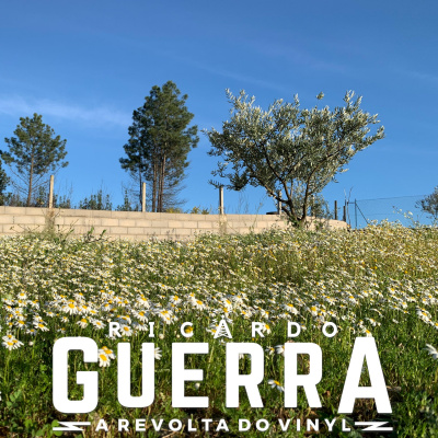 A Revolta Do Vinyl | Ricardo Guerra