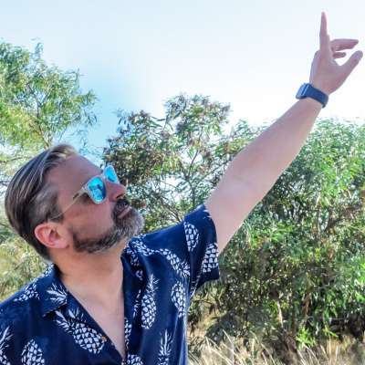 A Revolta Do Vinyl | Ricardo Guerra