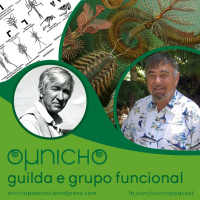 Episódio 14 - O Micronicho: Guilda e Grupo Funcional