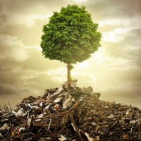 Podcast #04: Como cuidar melhor do Meio Ambiente