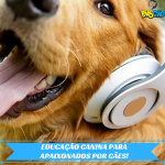 Papo Cão